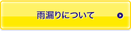 雨漏りについて